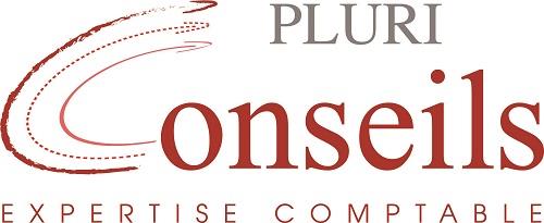 PLURI CONSEILS