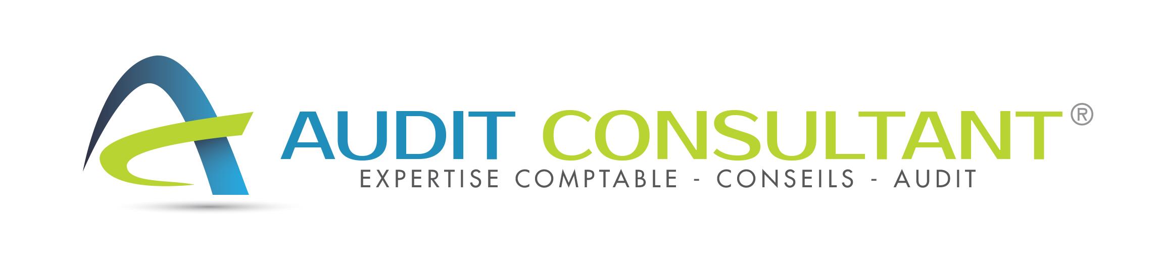 AUDIT CONSULTANT