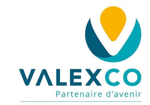 VALEXCO AUDIT
