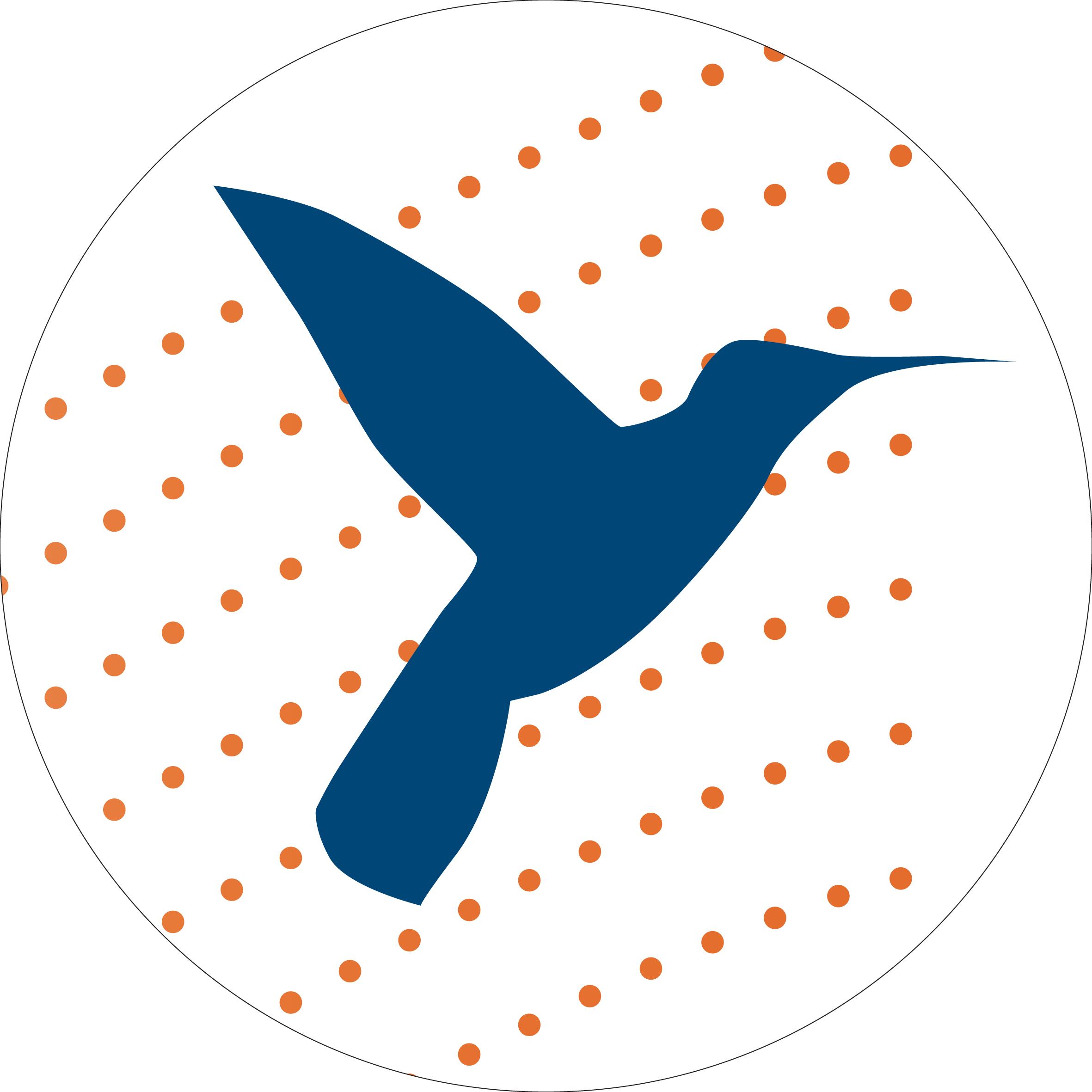 COLIBRI EXPERTISE ET CONSEILS